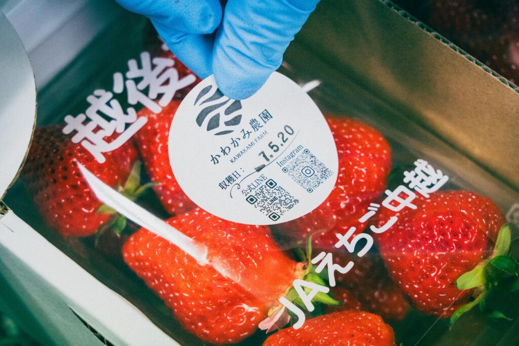 「かわかみ農園」ブランドのいちごパックに収穫日入りのラベルを貼る手元。QRコードや「JAえちご中越」の文字が印刷された透明フィルム越しに、鮮やかな赤い実が見える。